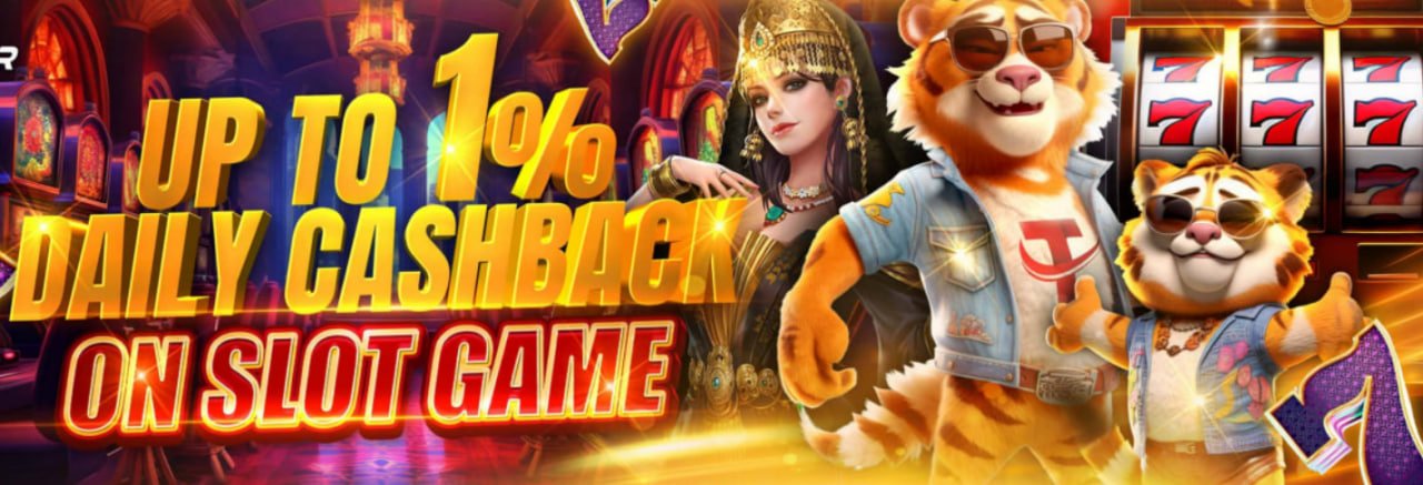Live dealer studio feed on bolagila link platform
